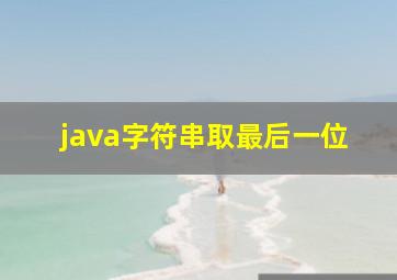 java字符串取最后一位