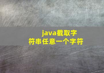 java截取字符串任意一个字符