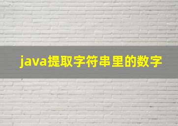 java提取字符串里的数字