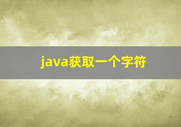 java获取一个字符