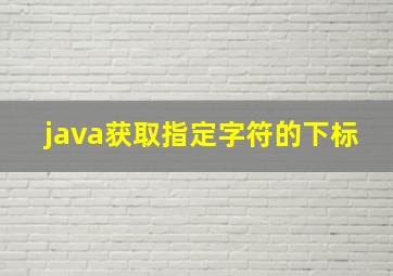 java获取指定字符的下标