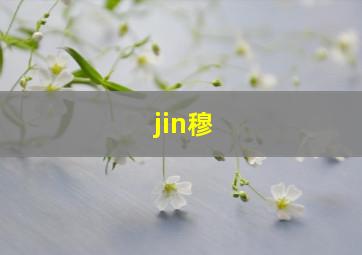 jin穆