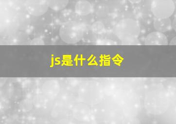 js是什么指令