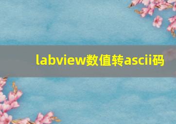 labview数值转ascii码