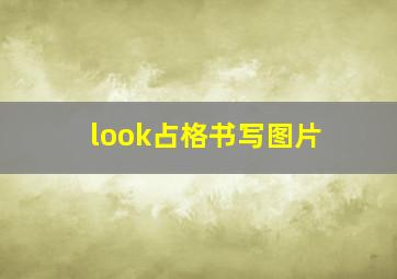 look占格书写图片