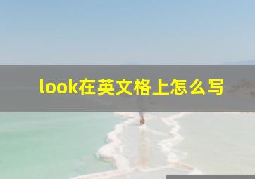 look在英文格上怎么写