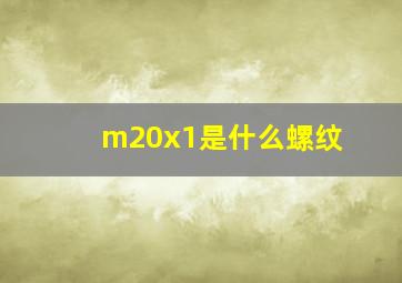 m20x1是什么螺纹