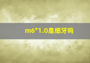 m6*1.0是细牙吗