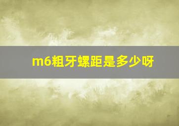 m6粗牙螺距是多少呀