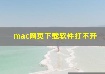 mac网页下载软件打不开