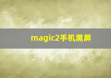 magic2手机黑屏