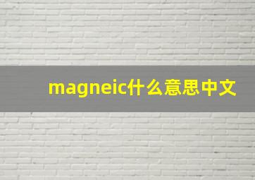 magneic什么意思中文