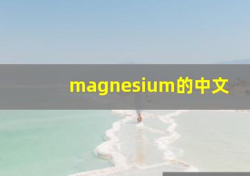 magnesium的中文