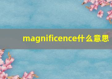 magnificence什么意思