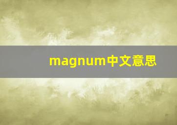 magnum中文意思