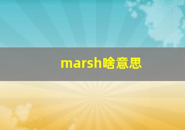 marsh啥意思