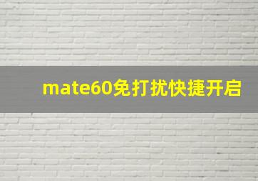 mate60免打扰快捷开启