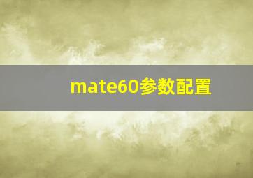 mate60参数配置