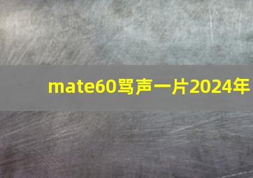 mate60骂声一片2024年