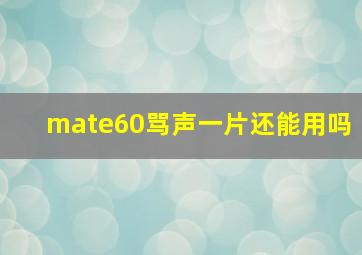 mate60骂声一片还能用吗