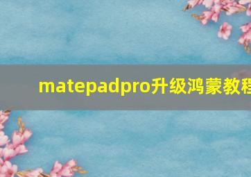 matepadpro升级鸿蒙教程