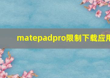 matepadpro限制下载应用