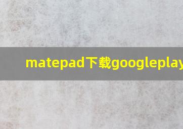 matepad下载googleplay商店