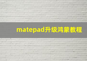 matepad升级鸿蒙教程