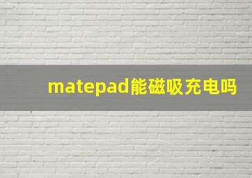 matepad能磁吸充电吗