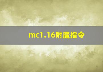 mc1.16附魔指令