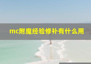 mc附魔经验修补有什么用