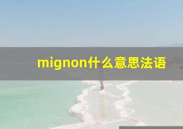 mignon什么意思法语