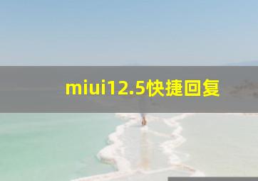 miui12.5快捷回复