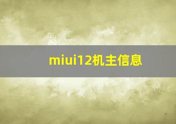 miui12机主信息