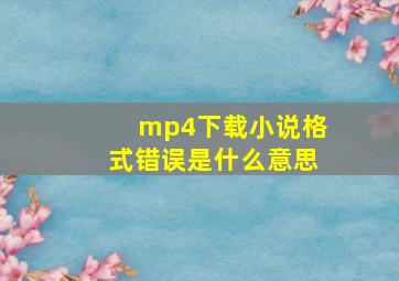 mp4下载小说格式错误是什么意思