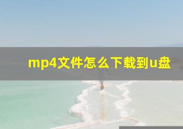 mp4文件怎么下载到u盘