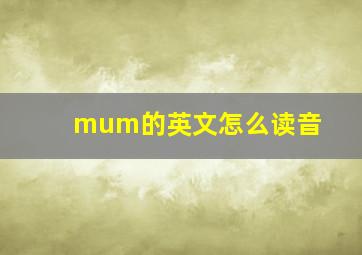 mum的英文怎么读音