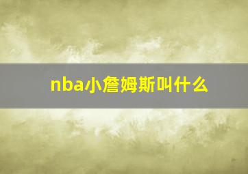 nba小詹姆斯叫什么