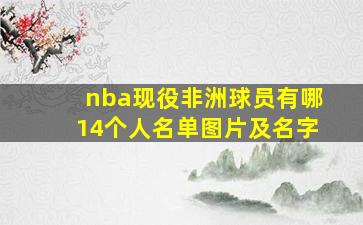 nba现役非洲球员有哪14个人名单图片及名字