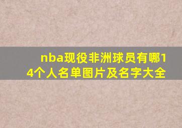 nba现役非洲球员有哪14个人名单图片及名字大全