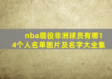 nba现役非洲球员有哪14个人名单图片及名字大全集