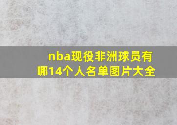 nba现役非洲球员有哪14个人名单图片大全