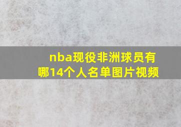 nba现役非洲球员有哪14个人名单图片视频