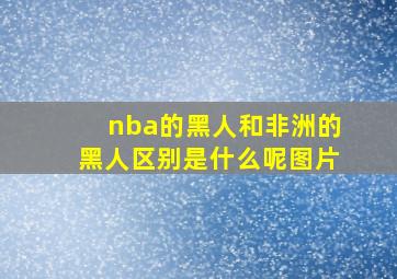 nba的黑人和非洲的黑人区别是什么呢图片