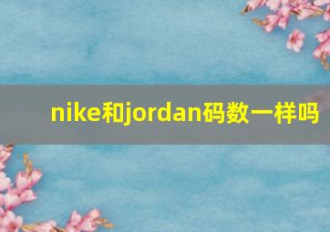 nike和jordan码数一样吗