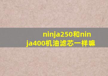 ninja250和ninja400机油滤芯一样嘛