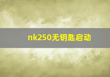 nk250无钥匙启动