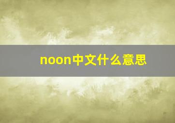 noon中文什么意思