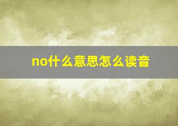 no什么意思怎么读音