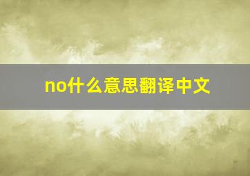 no什么意思翻译中文